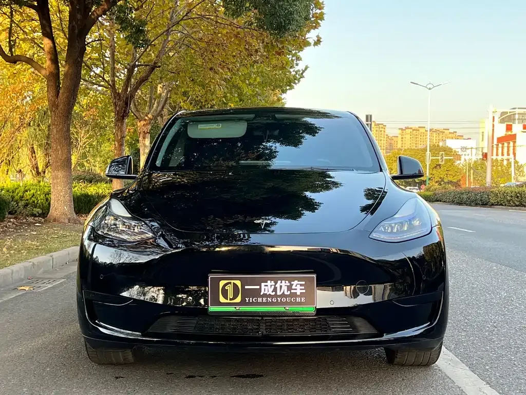 Tesla Model Y — фото 6