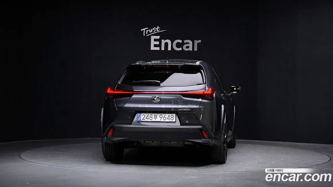 Lexus UX 2025 из KR, фото 4
