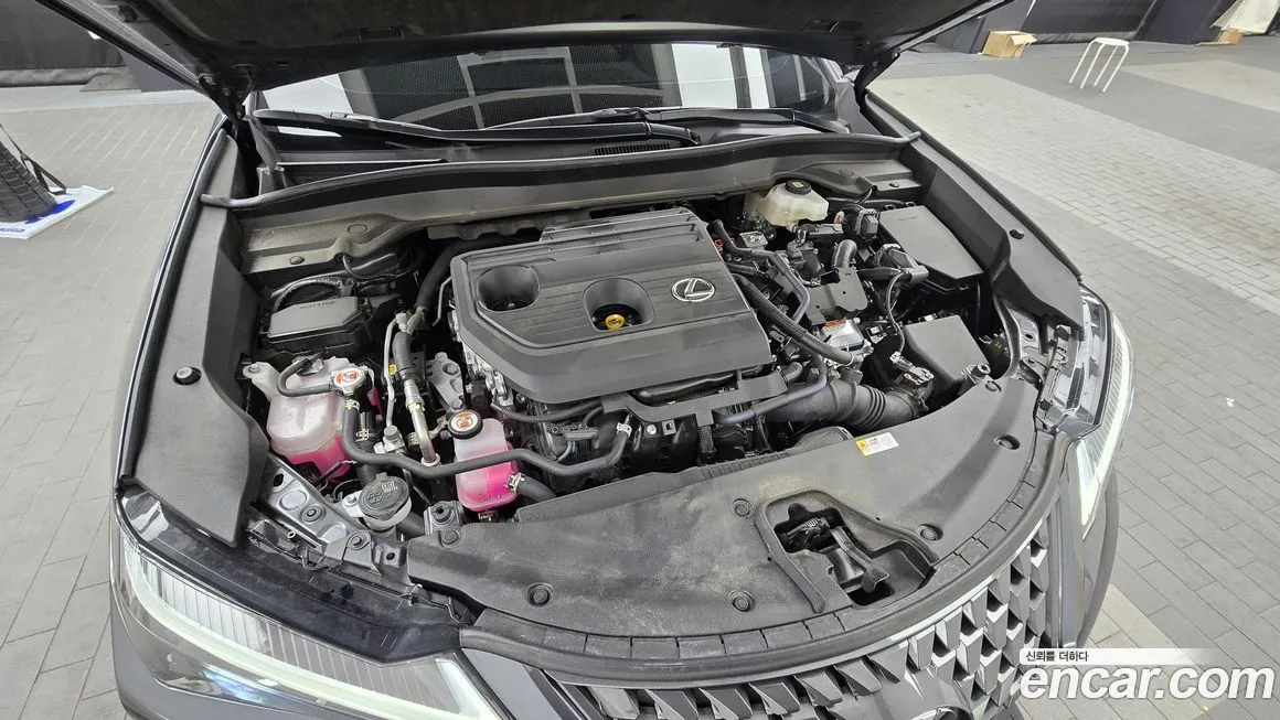 Lexus UX 2025 из KR, фото 6
