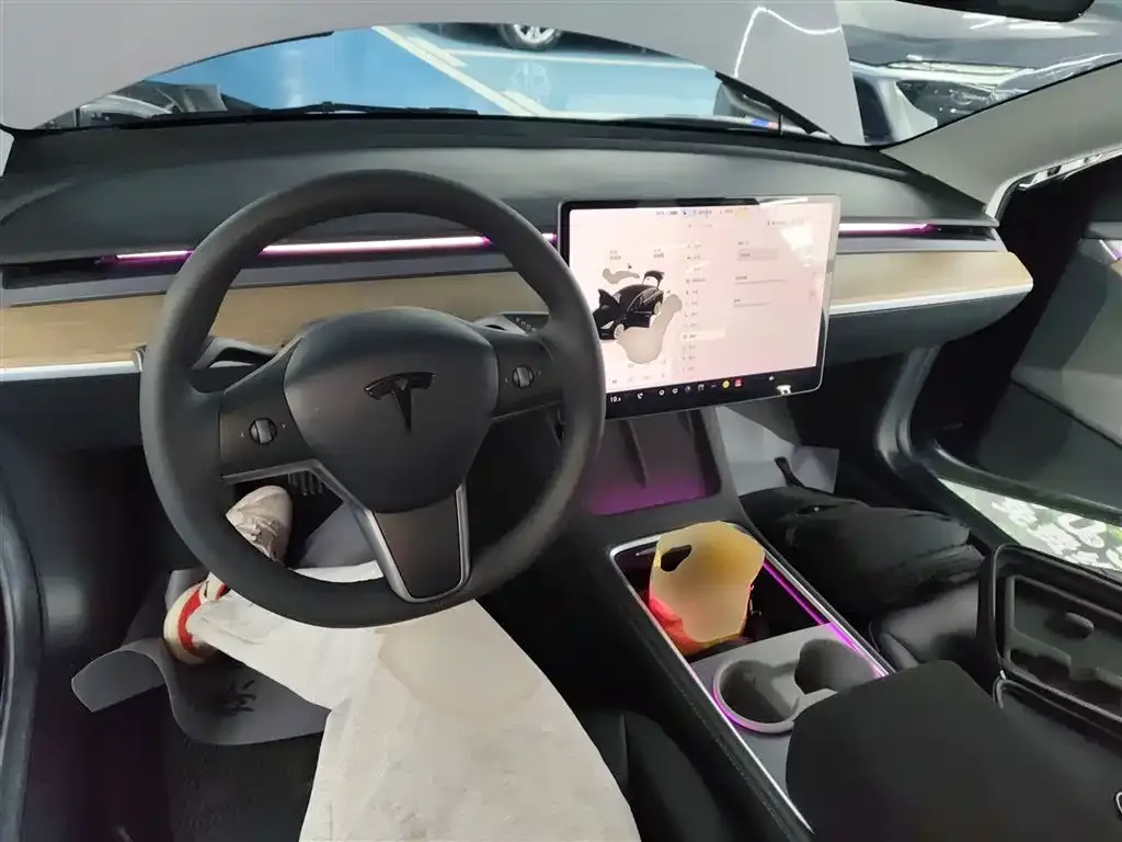 Tesla Model 3 2021 из CN, фото 5
