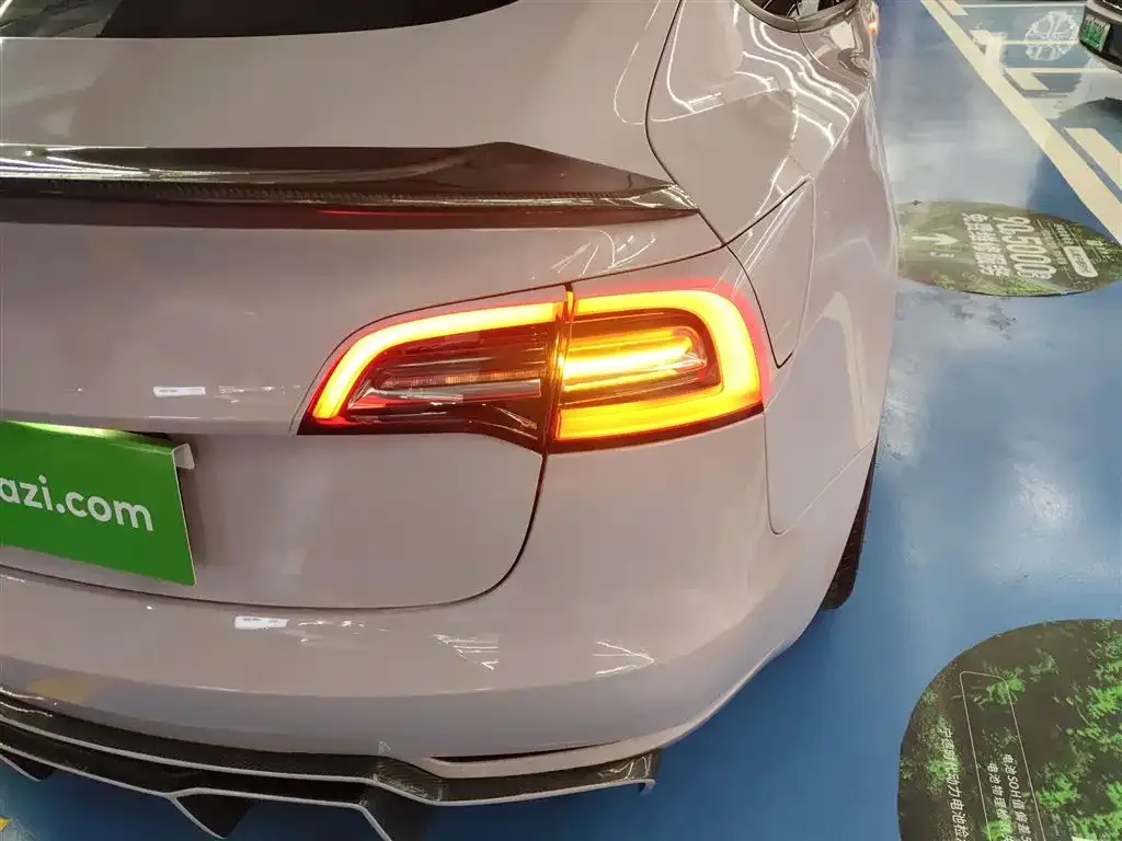 Tesla Model 3 2021 из CN, фото 6