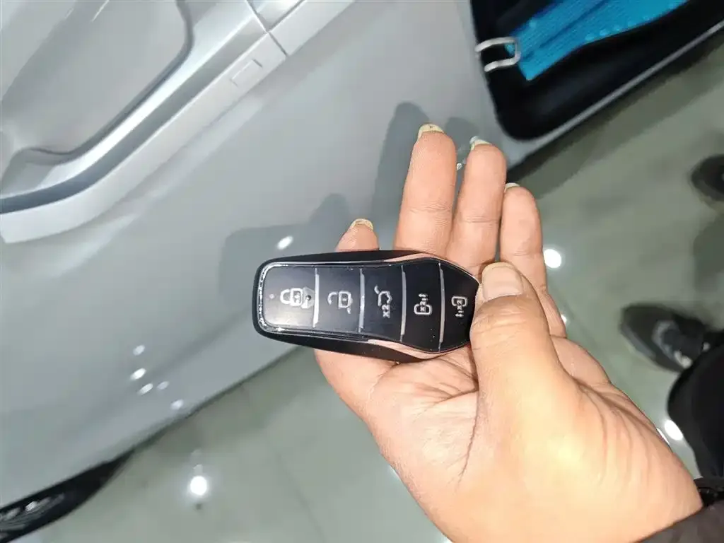 BYD Xia 2025 из CN, фото 4