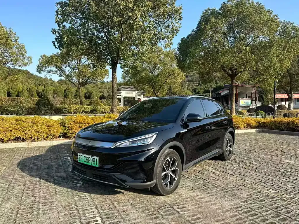BYD Yuan Plus 2024 из CN, фото 1