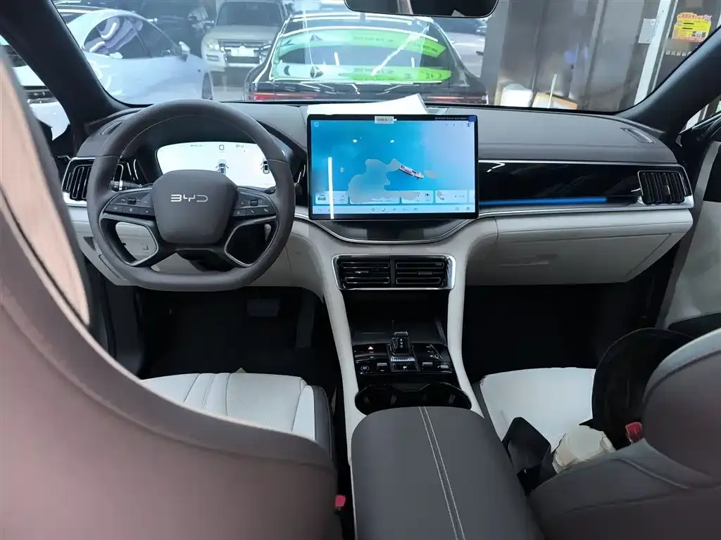 BYD PLUS New Energy — фото 10
