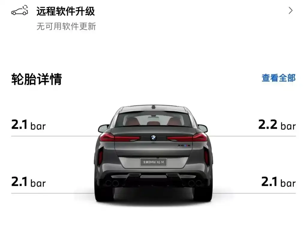 BMW X6 M 2024 из CN, фото 3