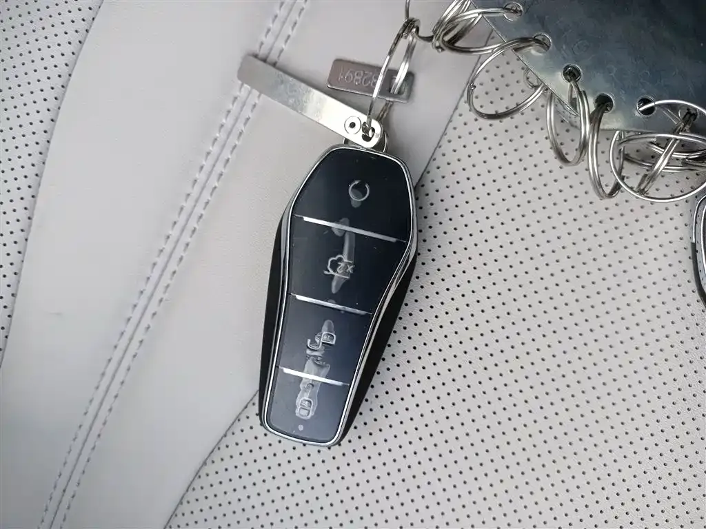 BYD PLUS New Energy 2025 из CN, фото 9