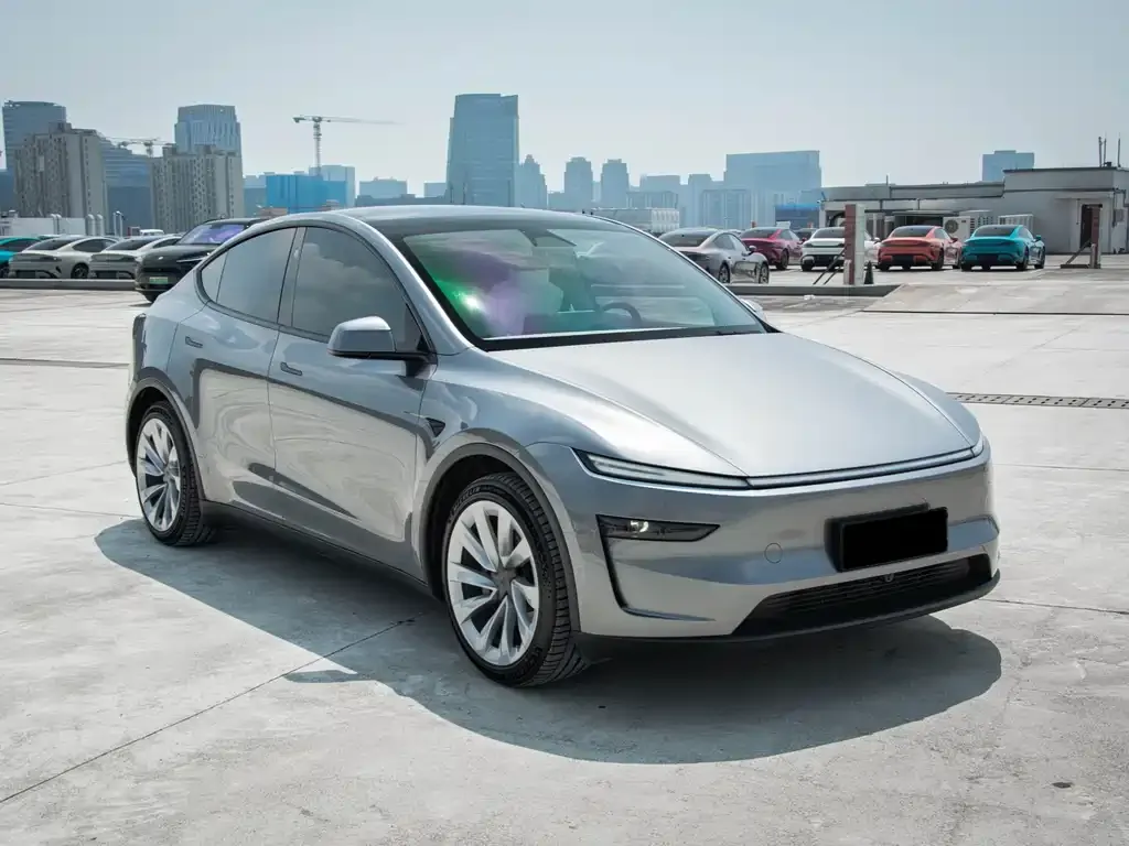 Tesla Model Y — фото 9