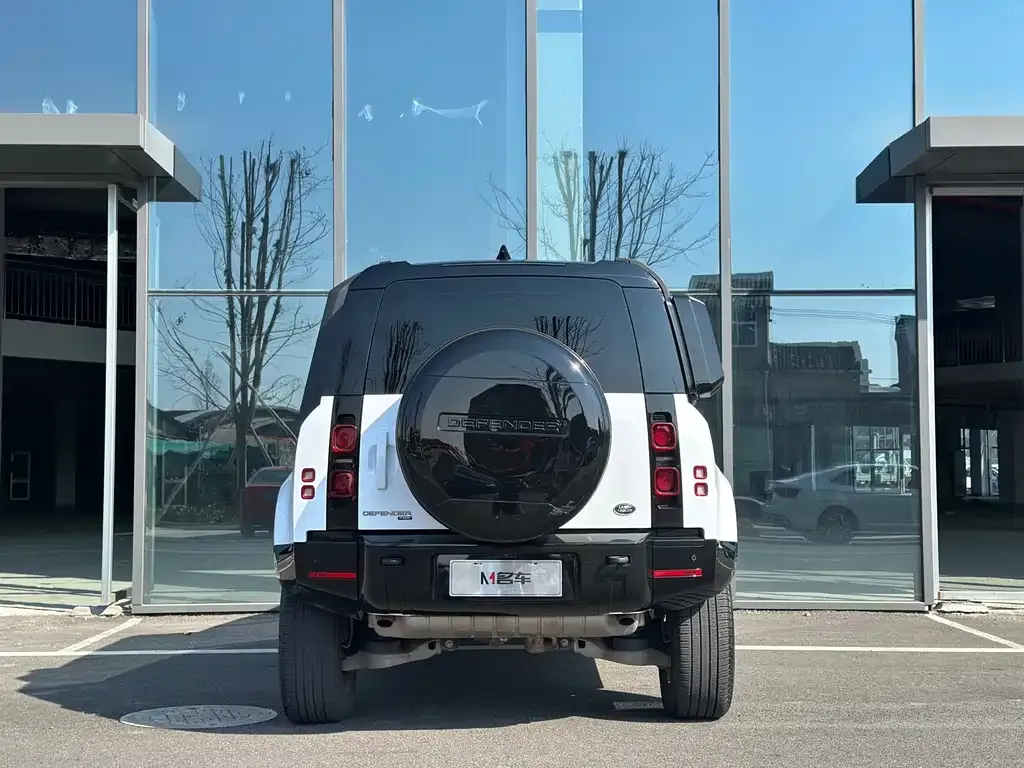 Land Rover Defender 2022 из CN, фото 3