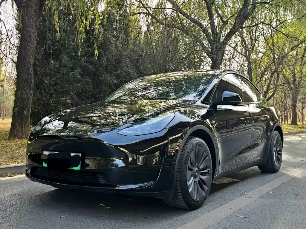 Tesla Model Y 2022 из CN, фото 1