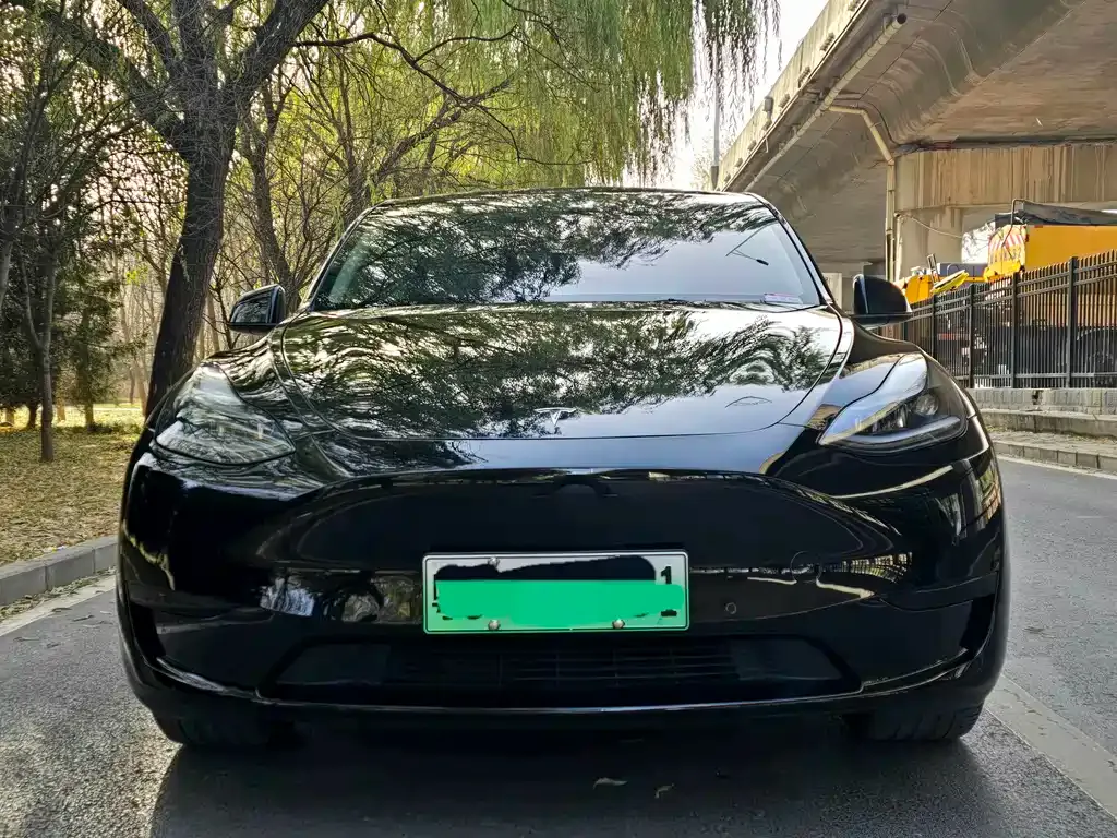 Tesla Model Y 2022 из CN, фото 2