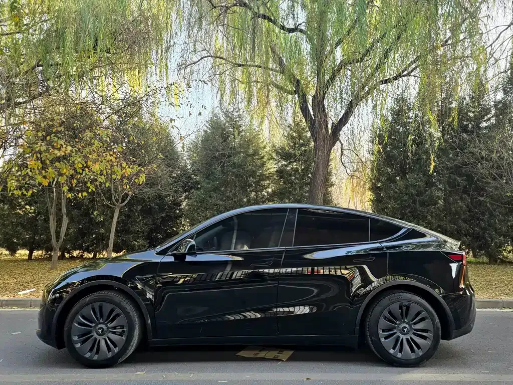 Tesla Model Y 2022 из CN, фото 3