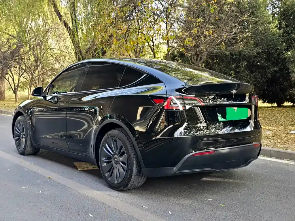 Tesla Model Y 2022 из CN, фото 4
