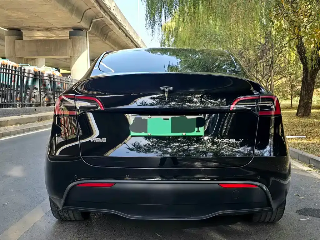 Tesla Model Y 2022 из CN, фото 5