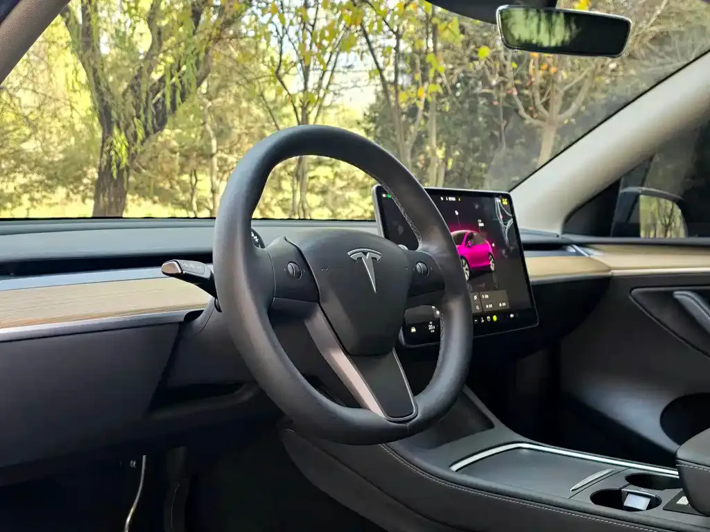 Tesla Model Y 2022 из CN, фото 9