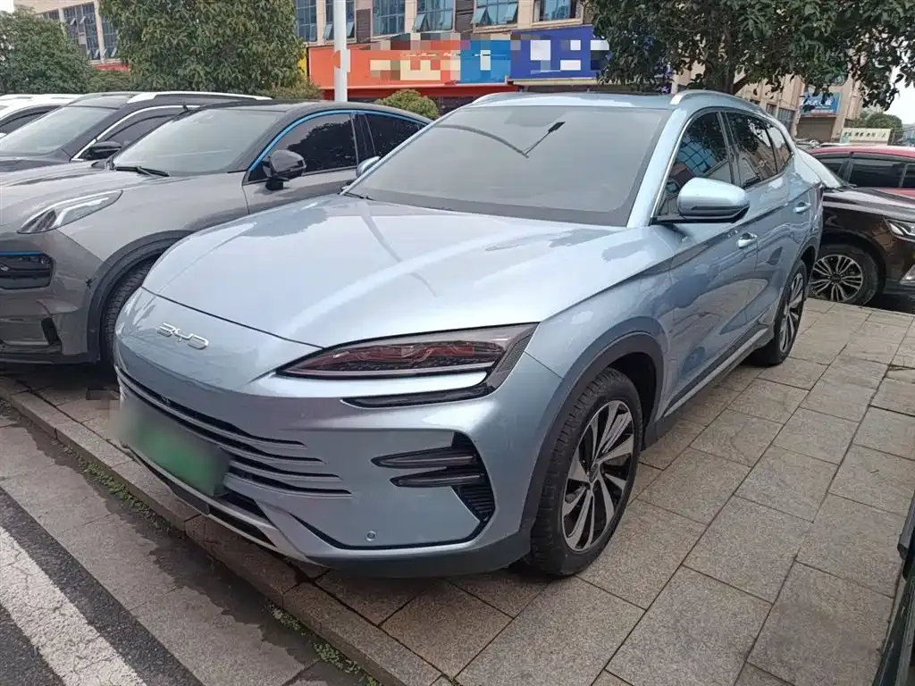 BYD PLUS New Energy — фото 1