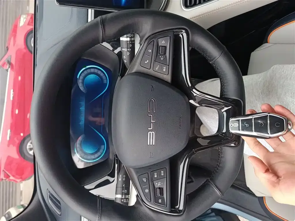 BYD PLUS New Energy — фото 3