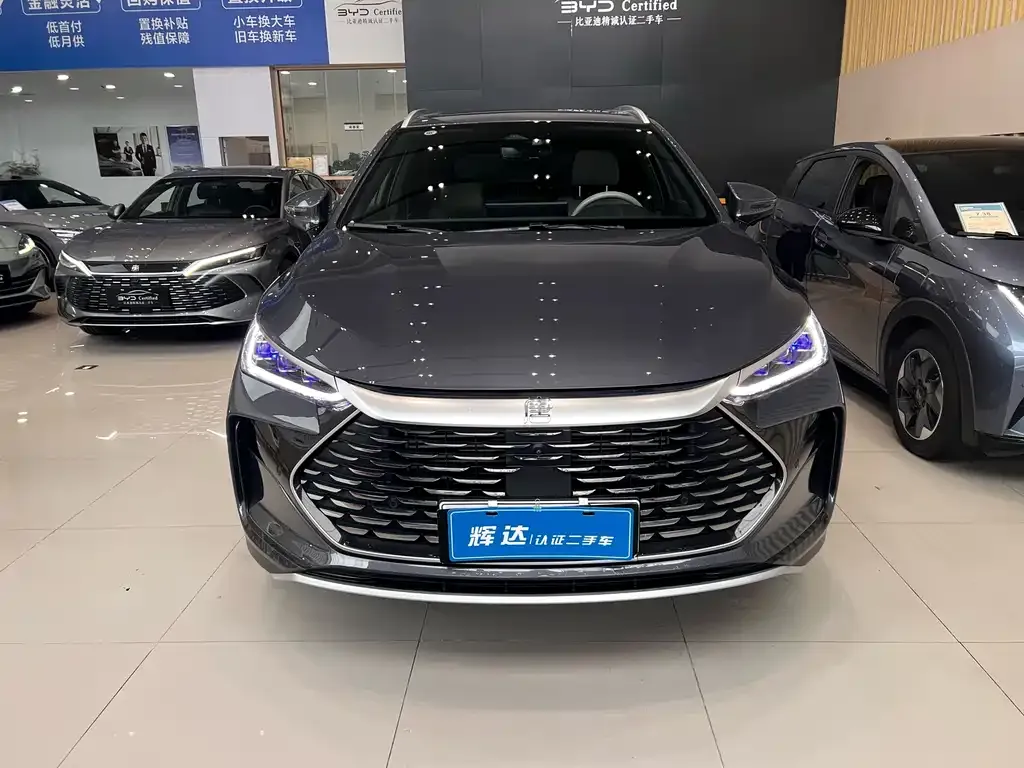 BYD Tang New Energy 2024 из CN, фото 6