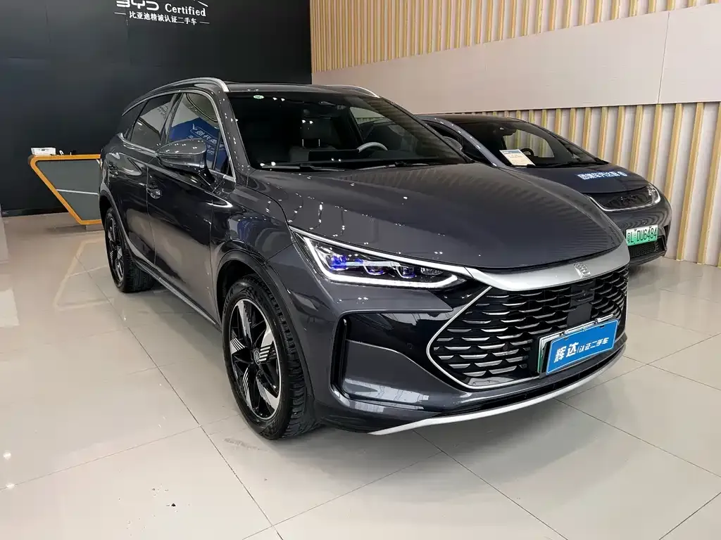 BYD Tang New Energy 2024 из CN, фото 8