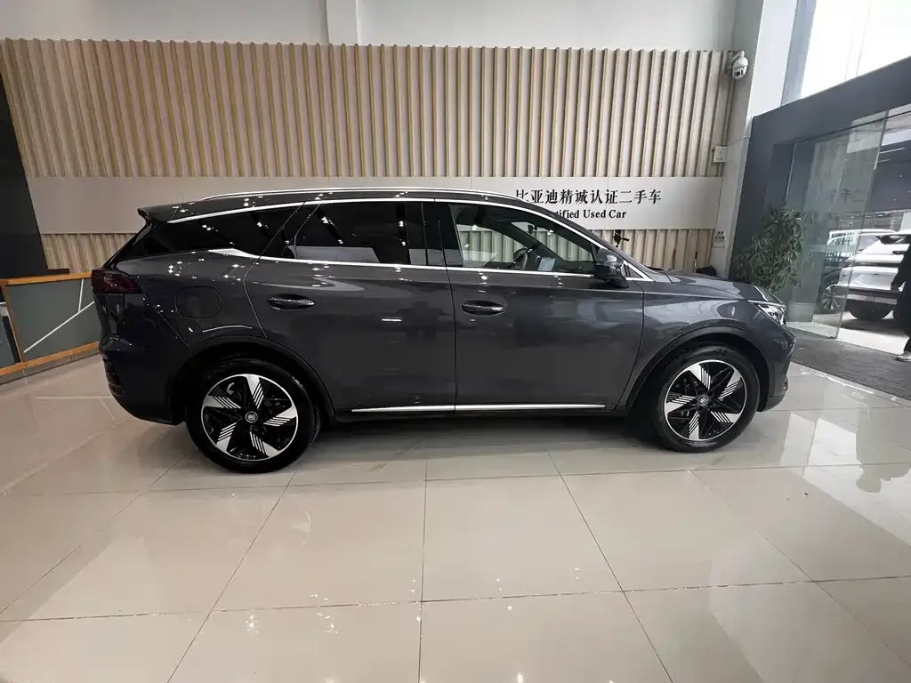 BYD Tang New Energy 2024 из CN, фото 10