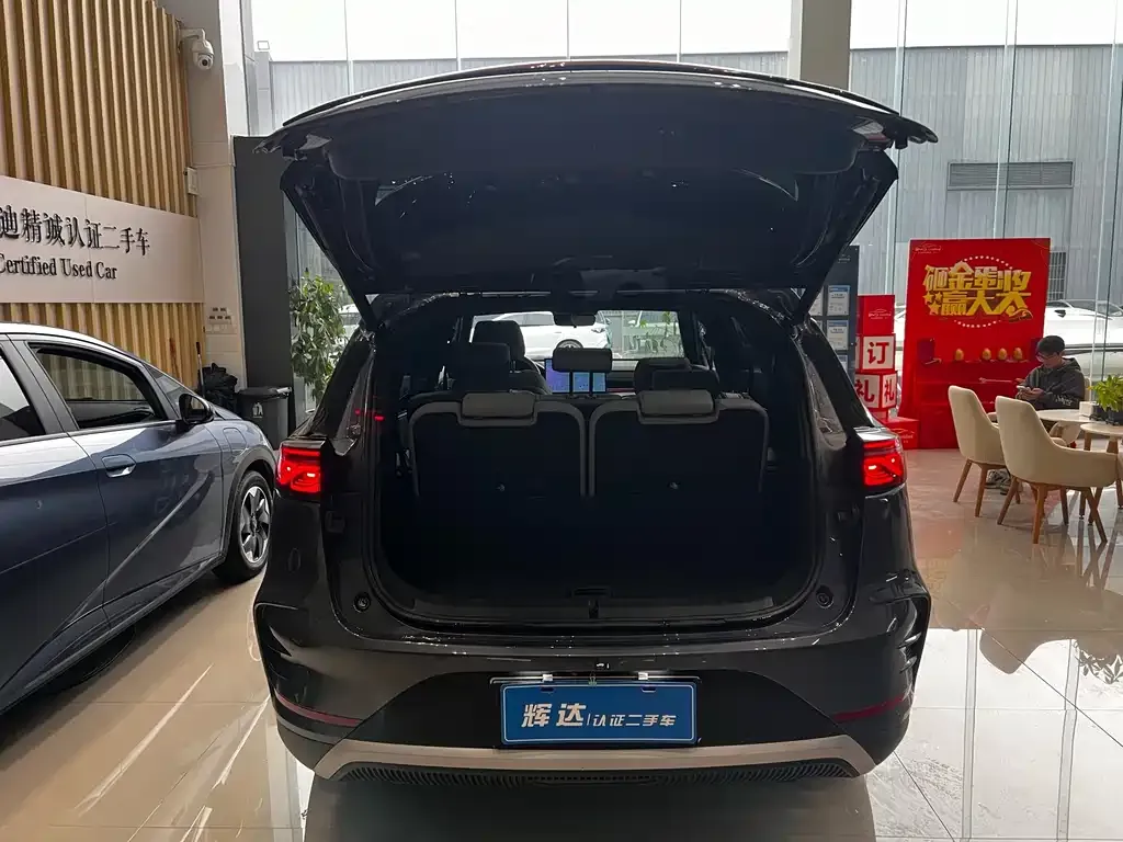 BYD Tang New Energy 2024 из CN, фото 9