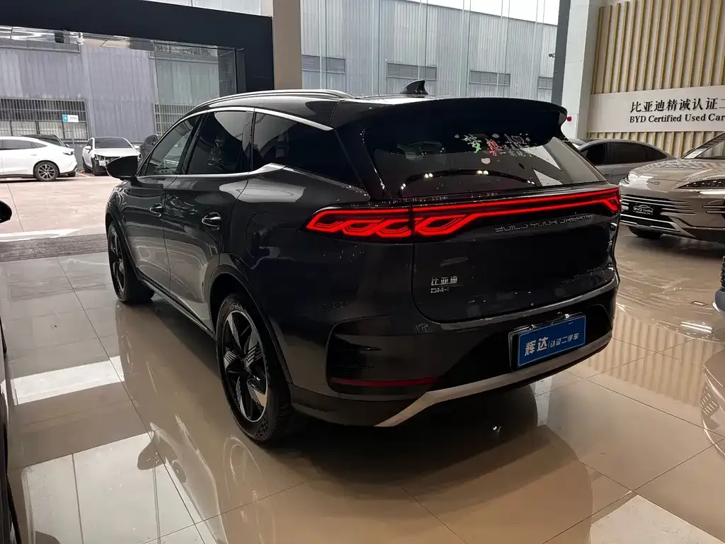 BYD Tang New Energy 2024 из CN, фото 4