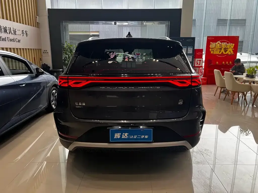 BYD Tang New Energy 2024 из CN, фото 5