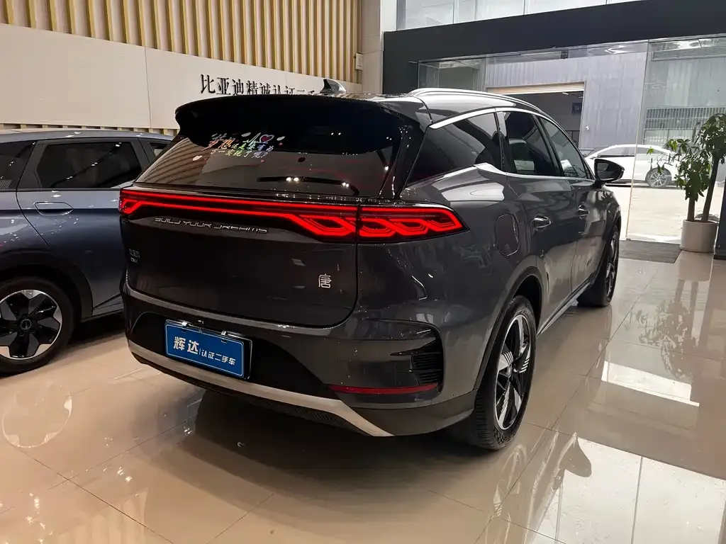 BYD Tang New Energy 2024 из CN, фото 3
