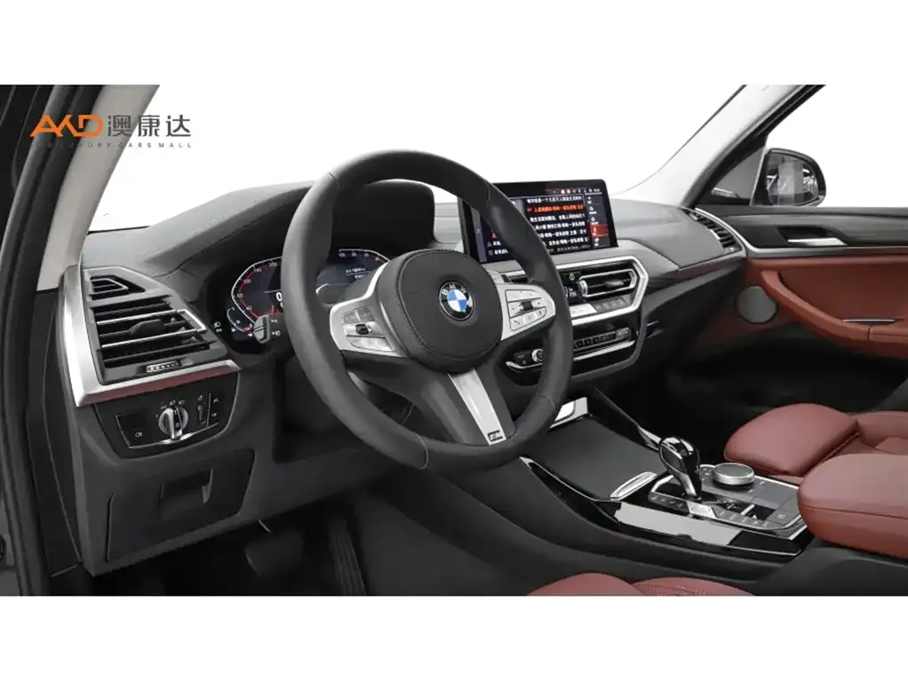 BMW X3 2023 из CN, фото 10