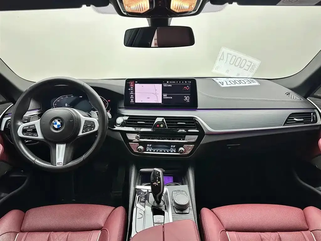 BMW 5 Series 2021 из CN, фото 10
