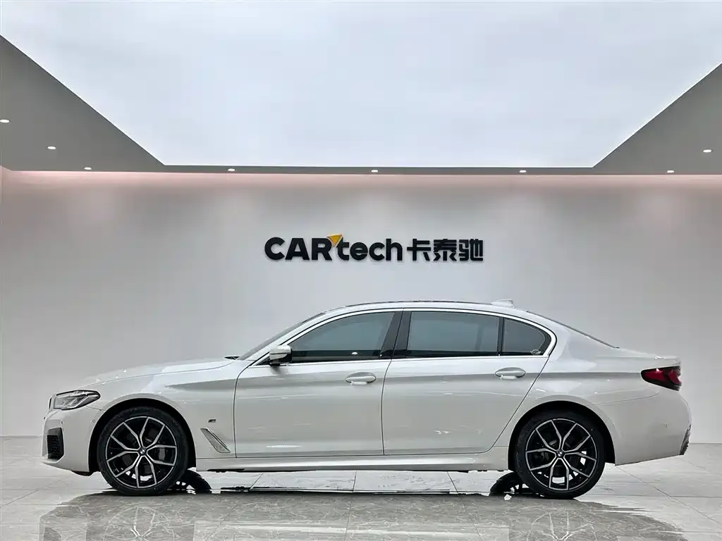 BMW 5 Series 2021 из CN, фото 9