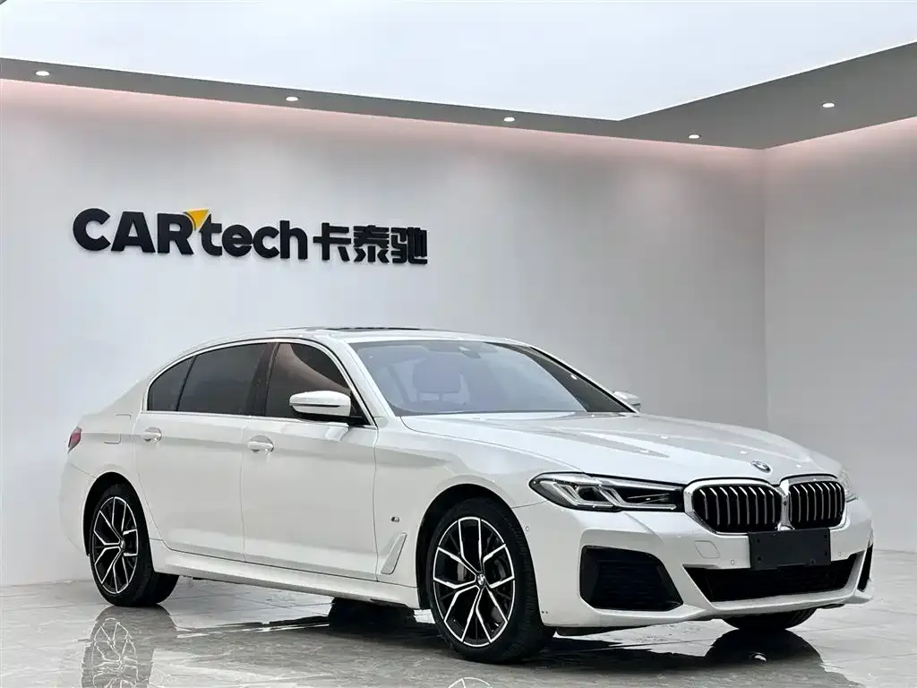 BMW 5 Series 2021 из CN, фото 3