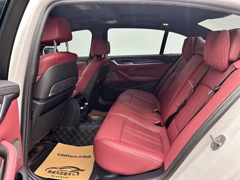 BMW 5 Series 2021 из CN, фото 8