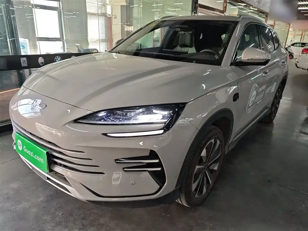 BYD PLUS New Energy — фото 1
