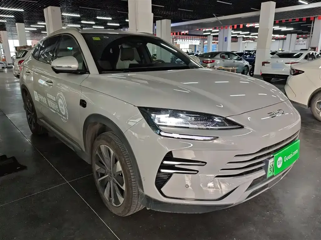 BYD PLUS New Energy — фото 4