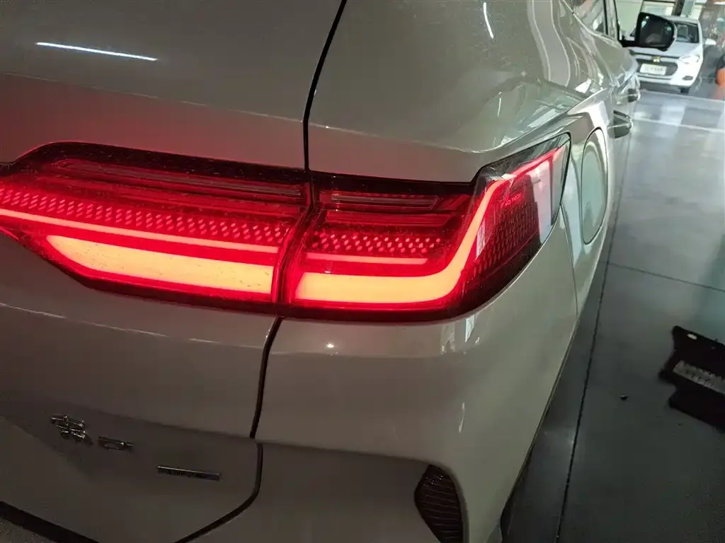 BYD PLUS New Energy — фото 8