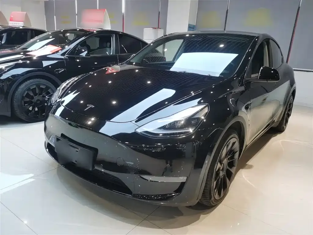 Tesla Model Y — фото 9