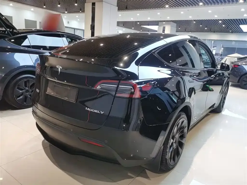 Tesla Model Y — фото 10