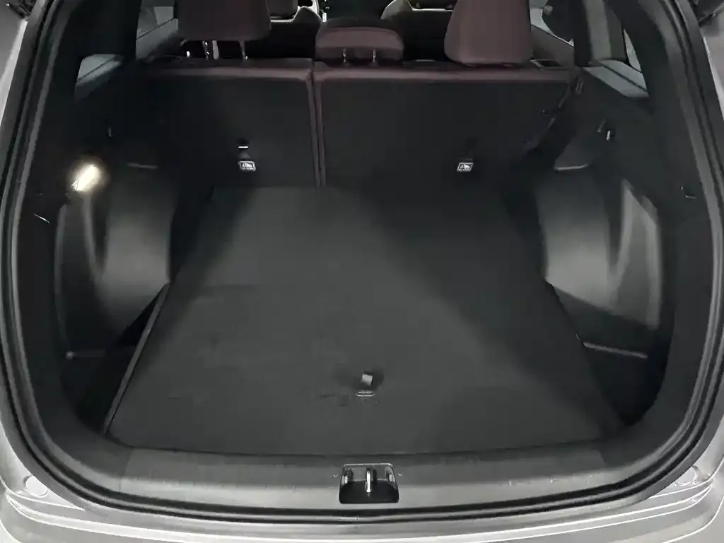 Geely Xingyue L 2024 из CN, фото 9