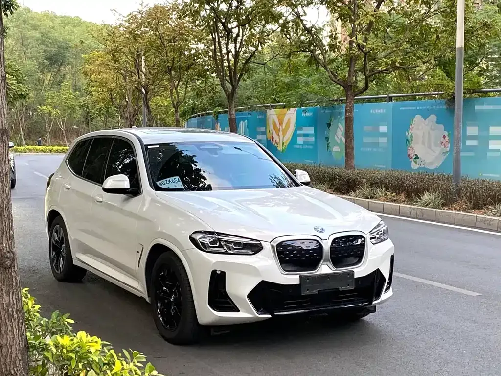 BMW iX3 2021 из CN, фото 5