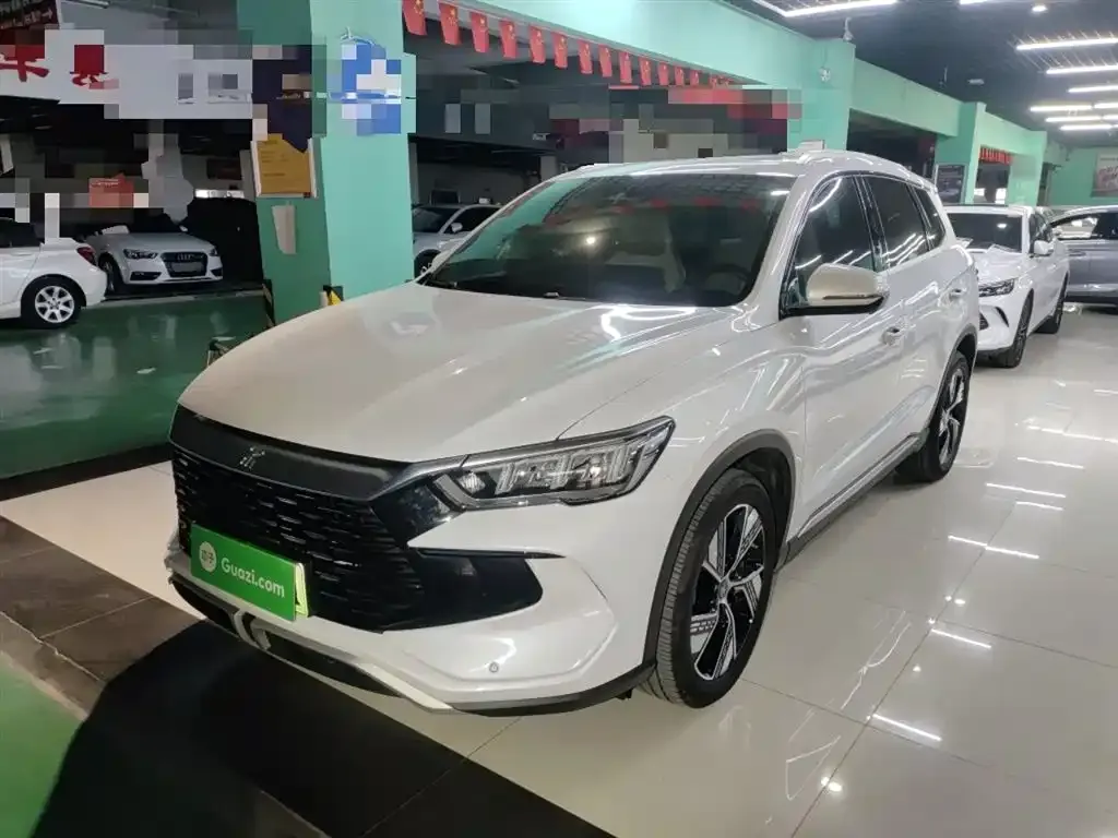 BYD Pro New Energy — фото 1