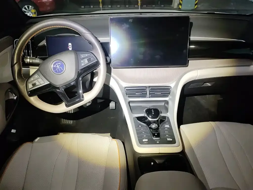 BYD Pro New Energy — фото 4
