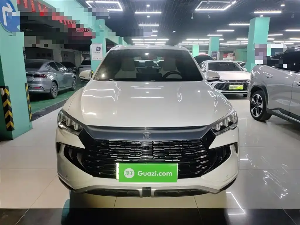BYD Pro New Energy — фото 7