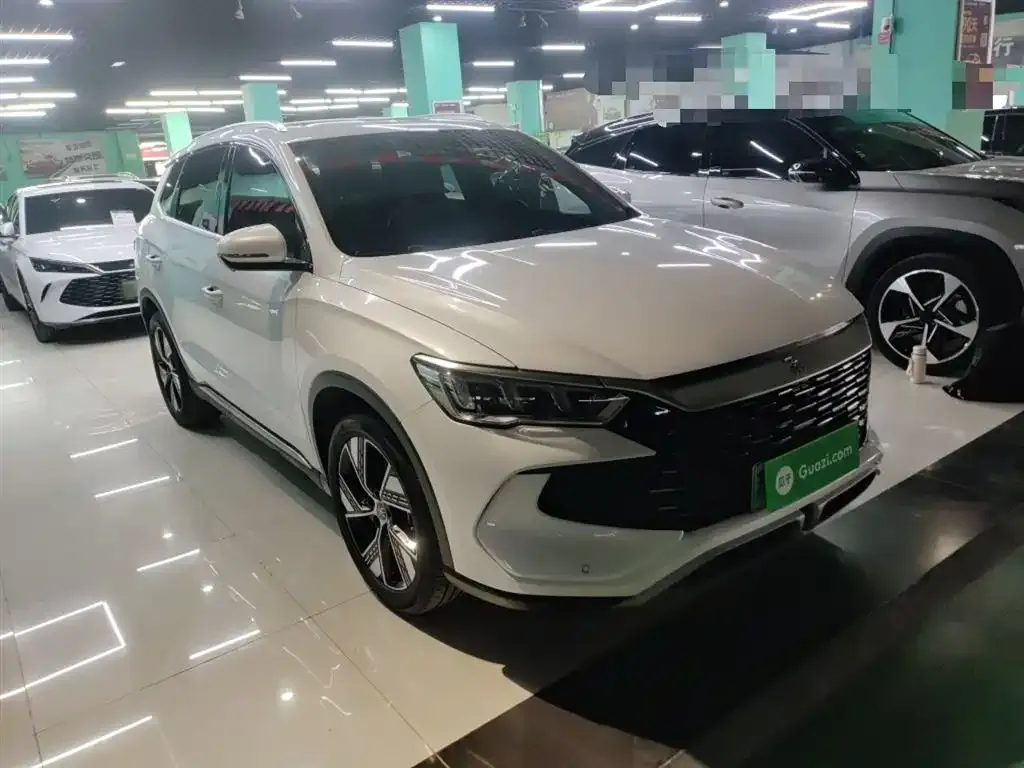 BYD Pro New Energy — фото 6