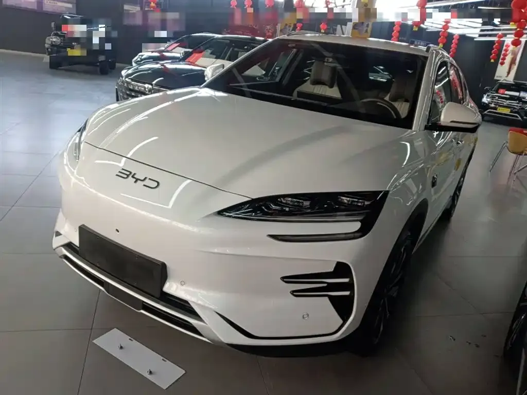 BYD PLUS New Energy — фото 1