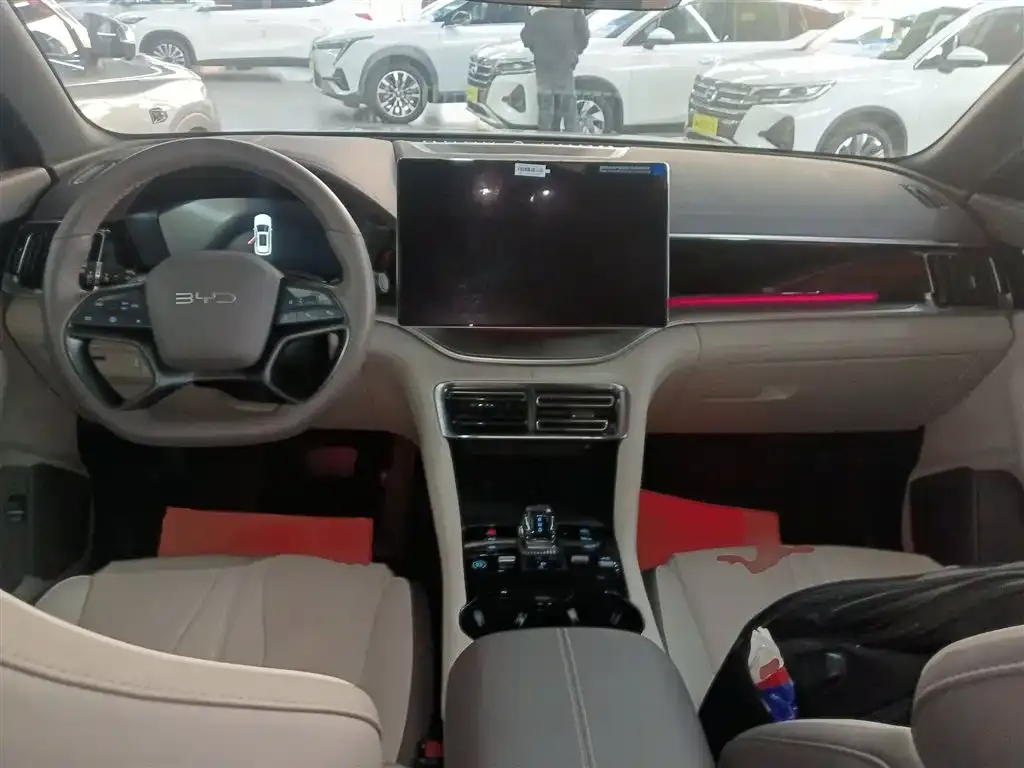 BYD PLUS New Energy — фото 10