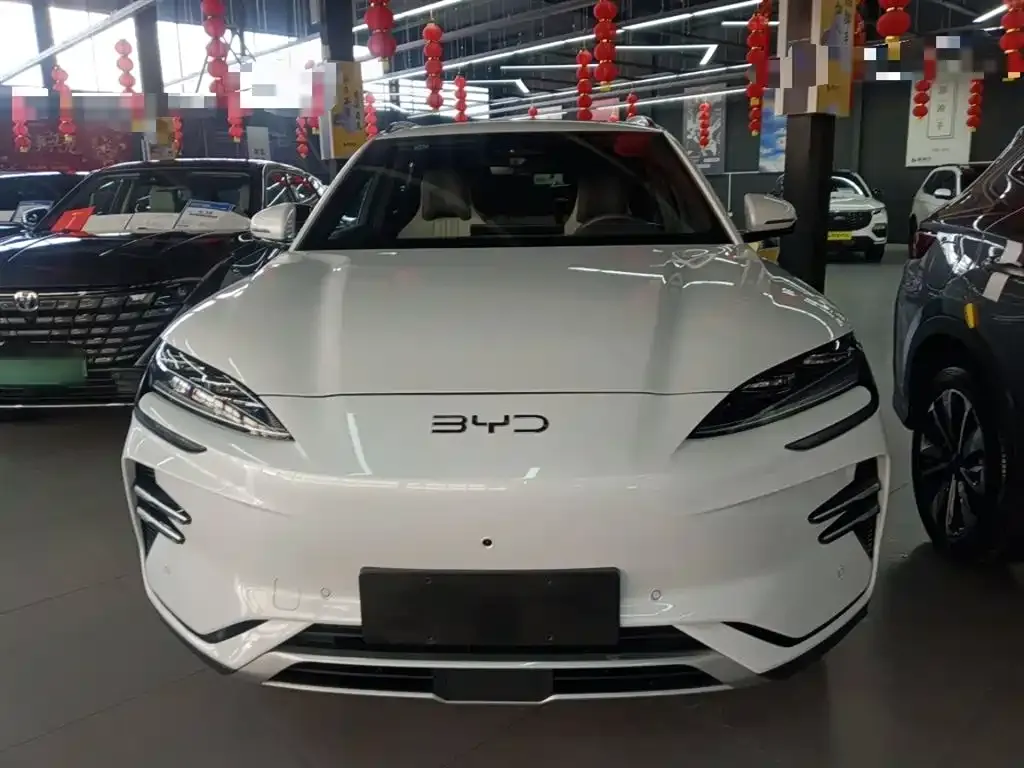 BYD PLUS New Energy — фото 3
