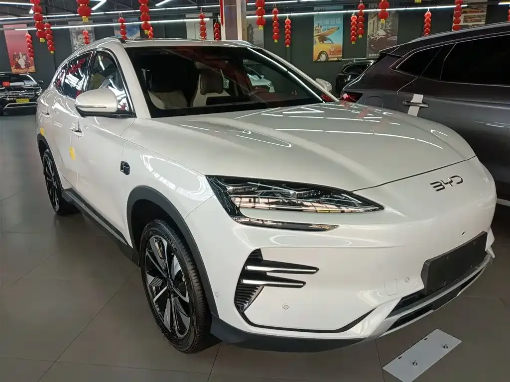BYD PLUS New Energy — фото 4