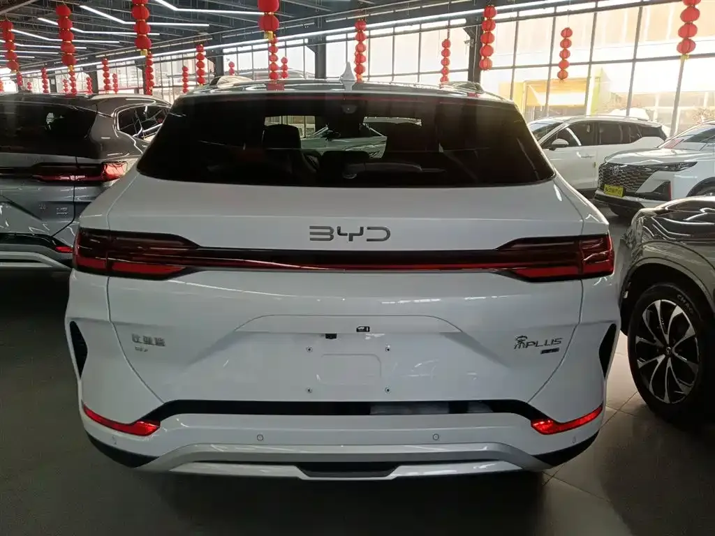 BYD PLUS New Energy — фото 6