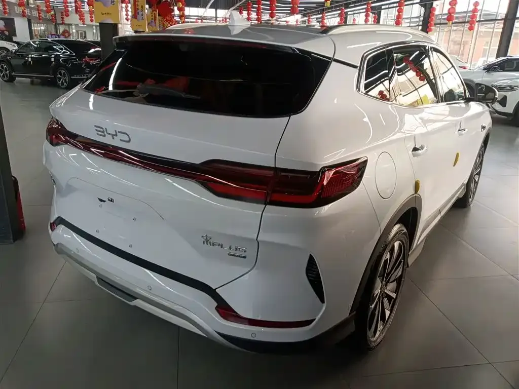 BYD PLUS New Energy — фото 7