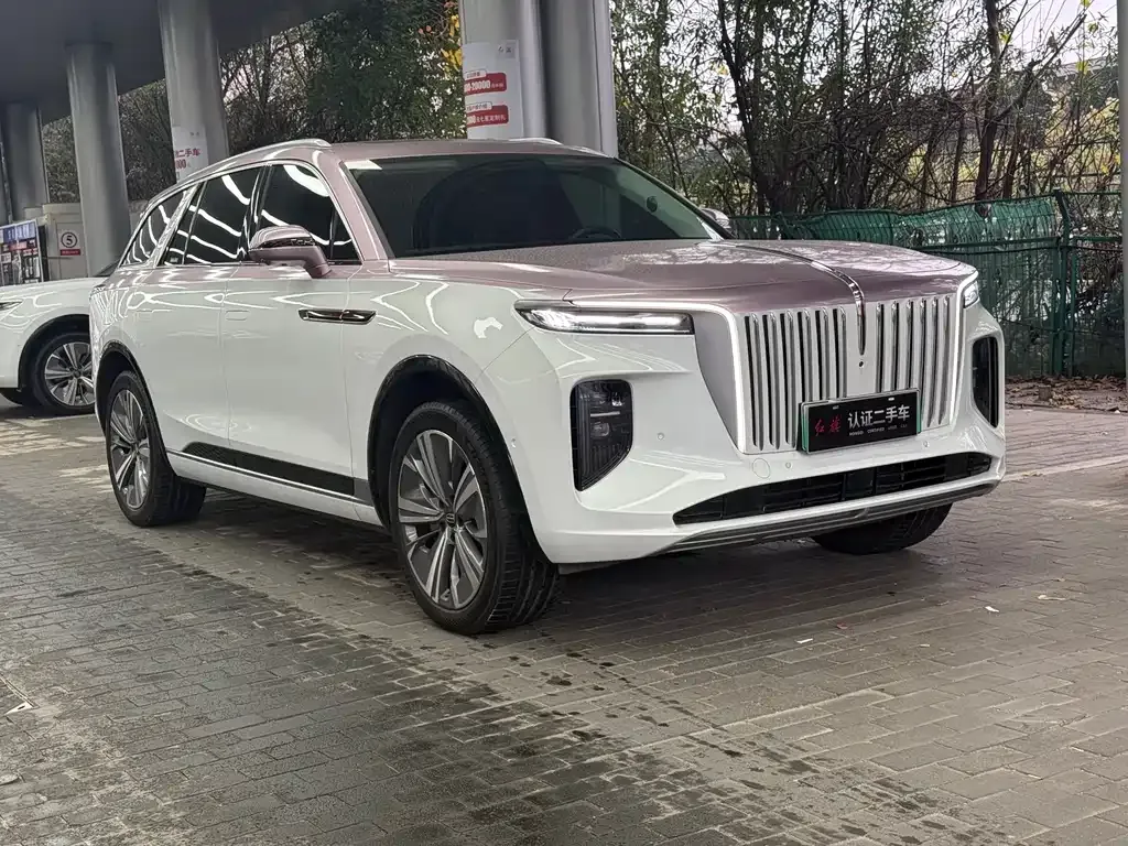 Hongqi E-HS9 — фото 5